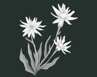 4 Wildflower poster designs in grey scale - Prints in 9 different sizes - Instant Download - Printable Wall Art