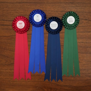 CUSTOM Championship Award Ribbon - Tiered Rosette with Extra-Long Triple Tail