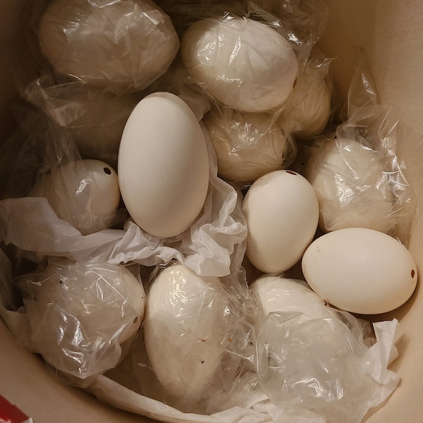 Craft Goose Eggs