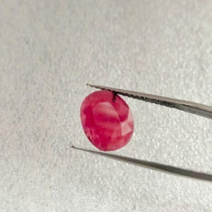 Puede incluir: Una gema ovalada de color rosa vibrante sostenida por unas pinzas. La gema tiene una apariencia ligeramente translúcida con un toque de blanco.