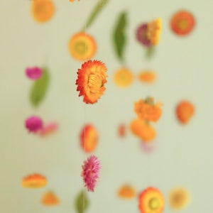 May include: A string of dried flowers hanging from the ceiling. The flowers are in shades of orange, yellow, and pink.