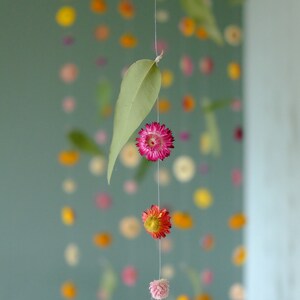 Peut inclure: Une guirlande de fleurs et de feuilles s&eacute;ch&eacute;es suspendue &agrave; un mur vert sarcelle. Les fleurs sont dans des tons de rose, d'orange et de blanc.