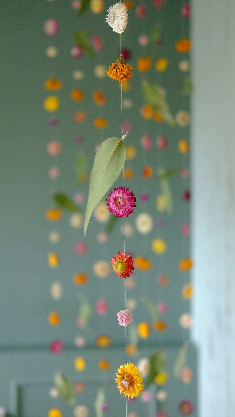 Peut inclure: Une guirlande de fleurs et de feuilles s&eacute;ch&eacute;es suspendue &agrave; un mur vert sarcelle. Les fleurs sont dans des tons de rose, d'orange et de blanc.