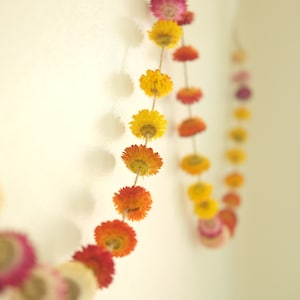 12ft Random color garland, Dried flower garland, Dried Strawflowers garland, Everlasting flower garland