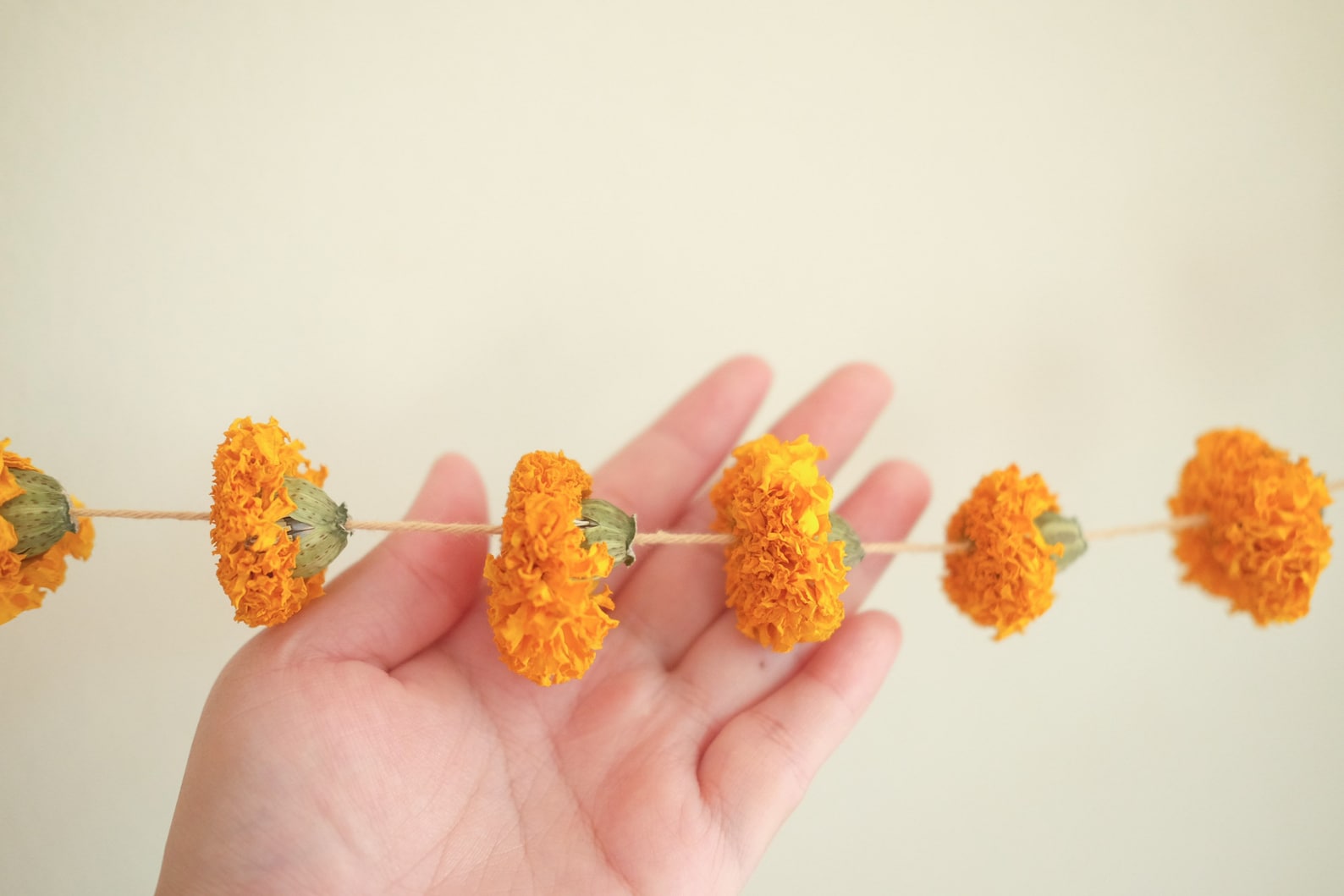 7ft Dried Marigold Flower Garland Real Dried Flower Garland Etsy