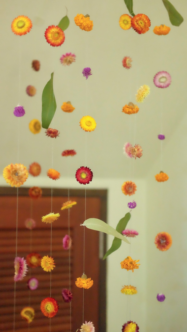 Peut inclure: Une guirlande de fleurs s&eacute;ch&eacute;es suspendue au plafond. Les fleurs sont dans des tons de jaune, orange, rouge et violet. Les fleurs sont dispos&eacute;es de mani&egrave;re al&eacute;atoire.