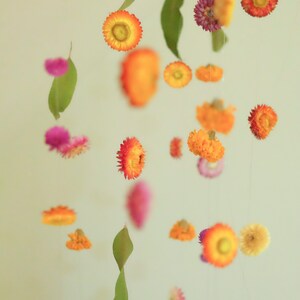 Peut inclure: Un mobile fantaisiste avec des fleurs s&eacute;ch&eacute;es dans des tons d'orange, rose et violet suspendues &agrave; des feuilles vertes. Les fleurs sont suspendues &agrave; de fines ficelles sur un fond vert clair.