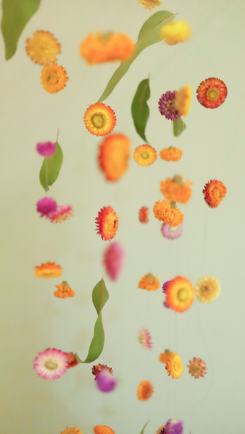 Peut inclure: Un mobile fantaisiste avec des fleurs s&eacute;ch&eacute;es dans des tons d'orange, rose et violet suspendues &agrave; des feuilles vertes. Les fleurs sont suspendues &agrave; de fines ficelles sur un fond vert clair.