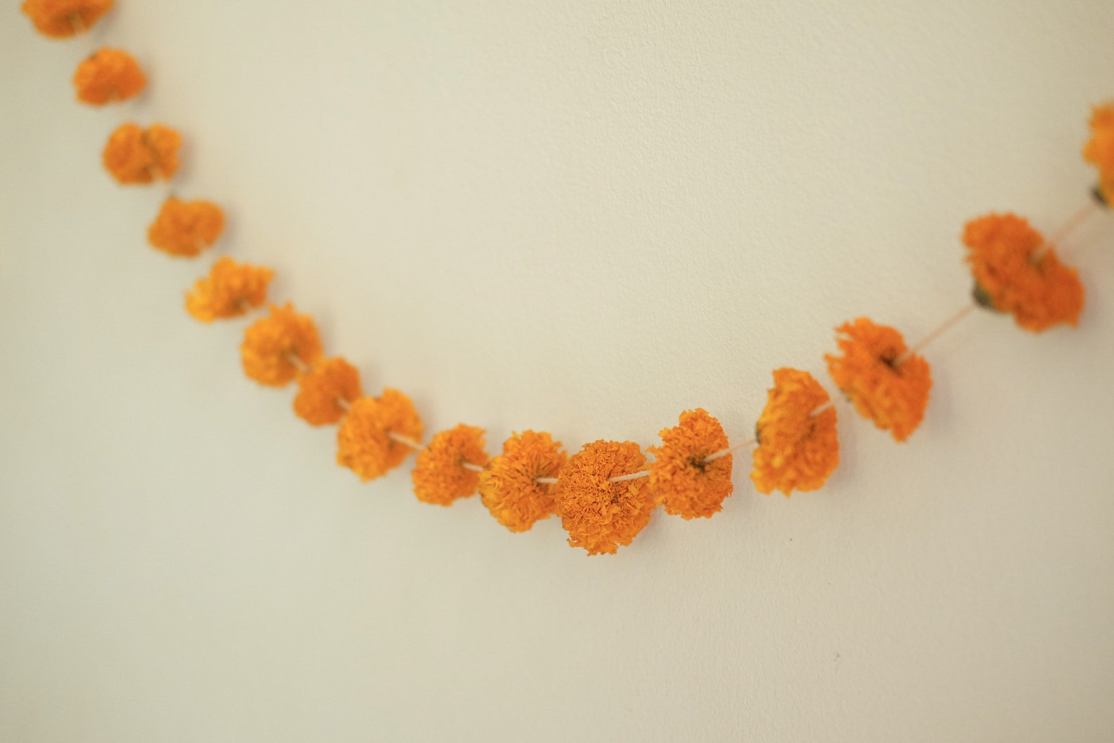 7ft Dried Marigold Flower Garland Real Dried Flower Garland Etsy