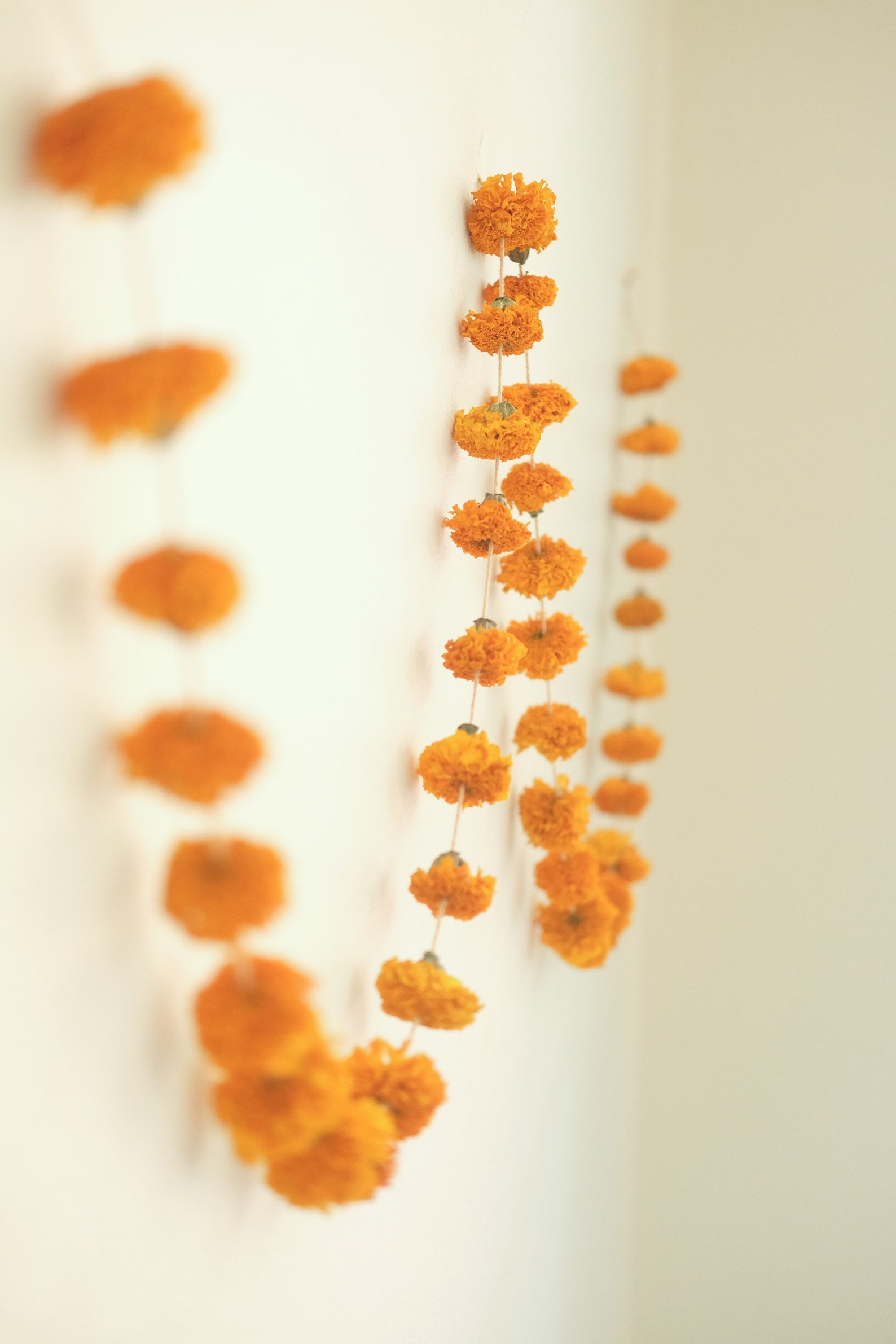 7ft Dried Marigold Flower Garland Real Dried Flower Garland Etsy