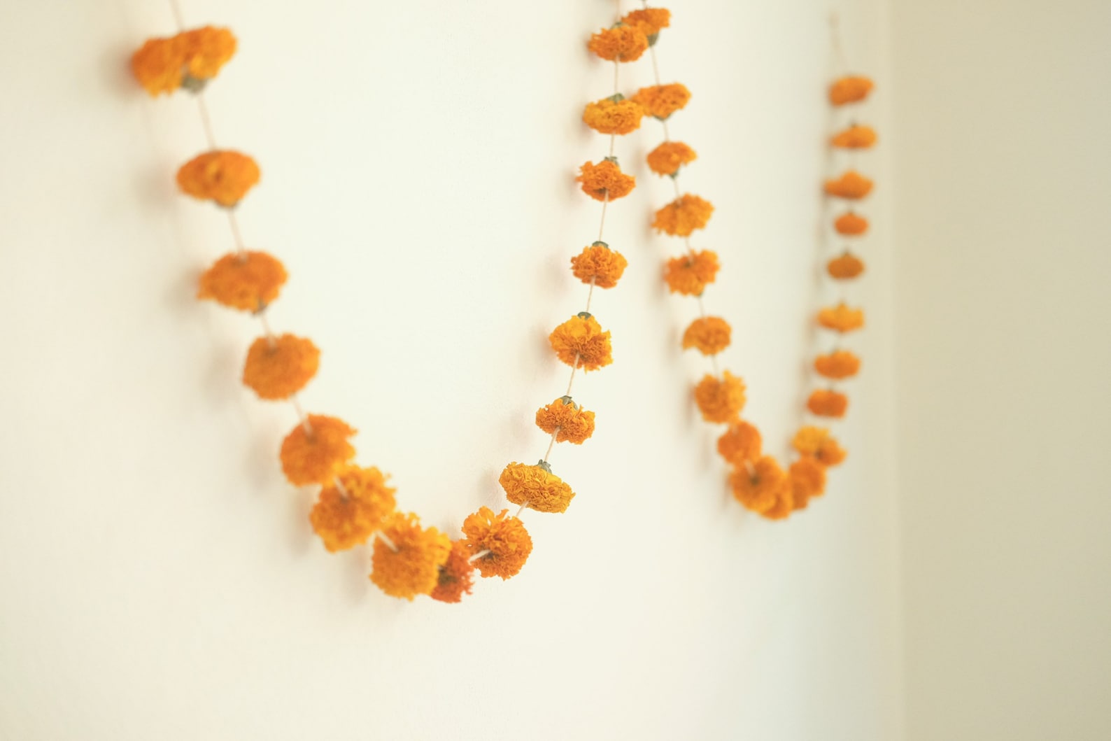 7ft Dried Marigold Flower Garland Real Dried Flower Garland Etsy