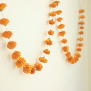 Puede incluir: Una guirnalda de flores de caléndula naranja atadas con un cordel, colgando de una pared blanca.