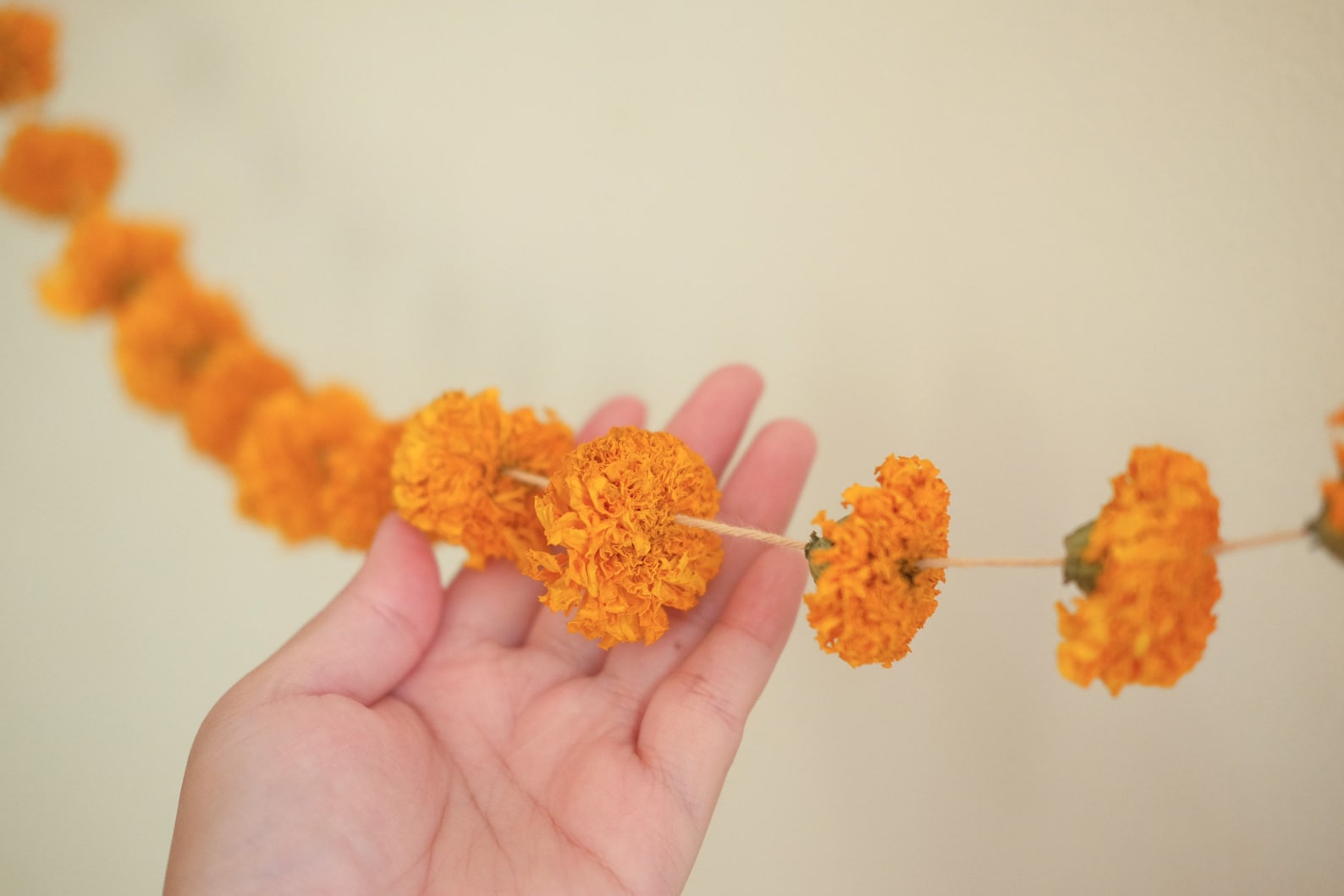 7ft Dried Marigold Flower Garland Real Dried Flower Garland Etsy