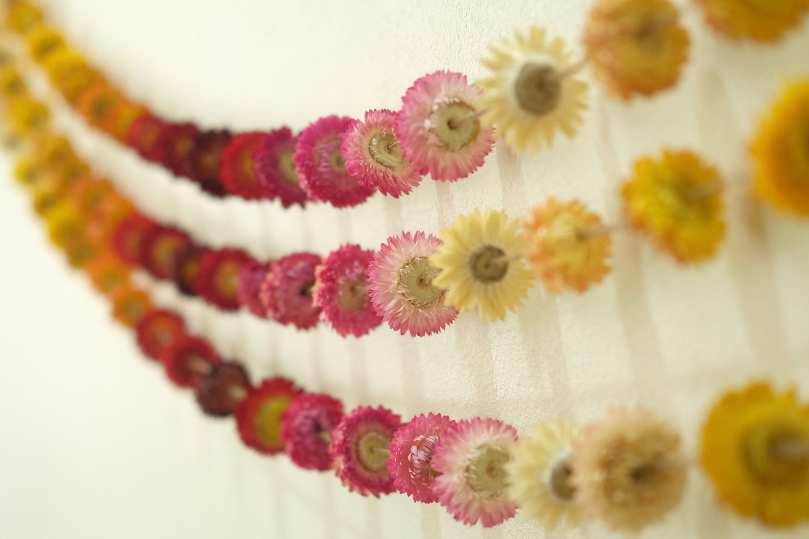 7ft Dried Flower Garland Dried Strawflowers Garland Etsy