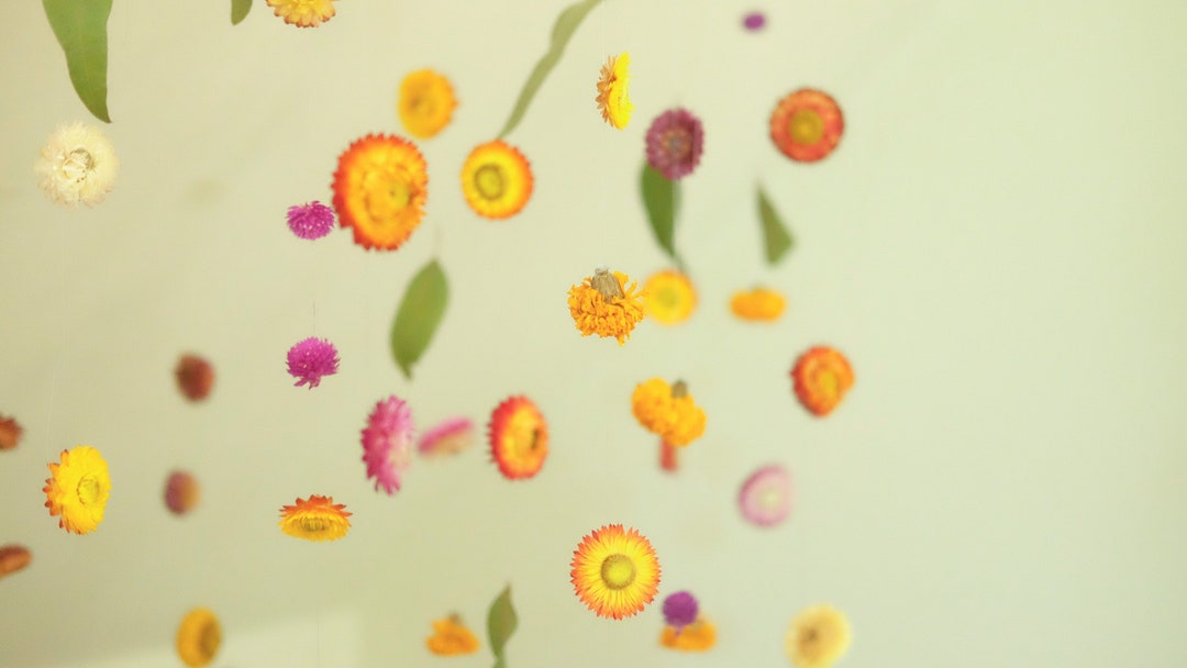 Set of 8 Strings 8ft Dried Flowers Garland, Real Dried Flower String ...