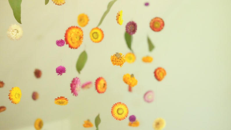 Peut inclure: Une collection de fleurs s&eacute;ch&eacute;es dans diff&eacute;rentes nuances de jaune, orange, rose et violet sont dispers&eacute;es sur un fond vert clair. Les fleurs sont suspendues dans les airs, cr&eacute;ant une sc&egrave;ne fantaisiste et d&eacute;licate.