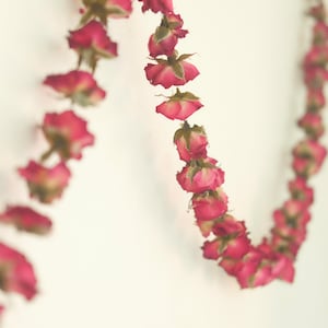 6ft Dried Red Roses Garland, Dried flower garland, Dried Strawflowers garland, Everlasting flower garland, Wedding decor