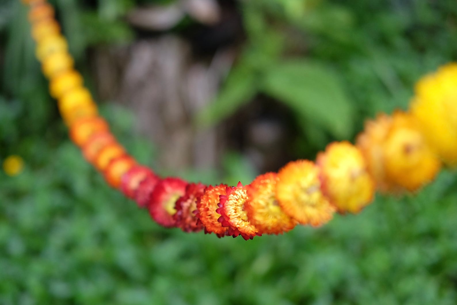 7ft Dried Flower Garland Dried Strawflowers Garland Etsy