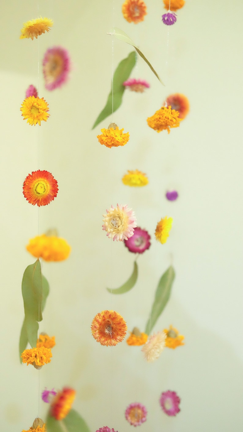 Peut inclure: Un mobile compos&eacute; de fleurs s&eacute;ch&eacute;es dans des tons de jaune, orange, rose et violet. Les fleurs sont suspendues &agrave; une ficelle blanche et dispos&eacute;es de mani&egrave;re al&eacute;atoire. Le mobile est suspendu au plafond.