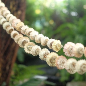 10ft White Dried flower garland, Dried Strawflowers garland, Everlasting flower garland, Wedding decor, Home decor