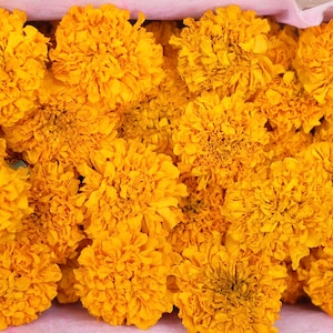 40 getrocknete Ringelblumen, Ringelblumen, Hochzeitsdeko, Getrocknete Blume, Ringelblumen, Calendula Blume, Altardekoration
