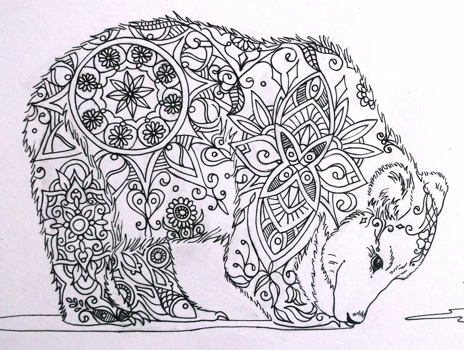 Polar Bear & Brown Bear Mandala Combo | Etsy