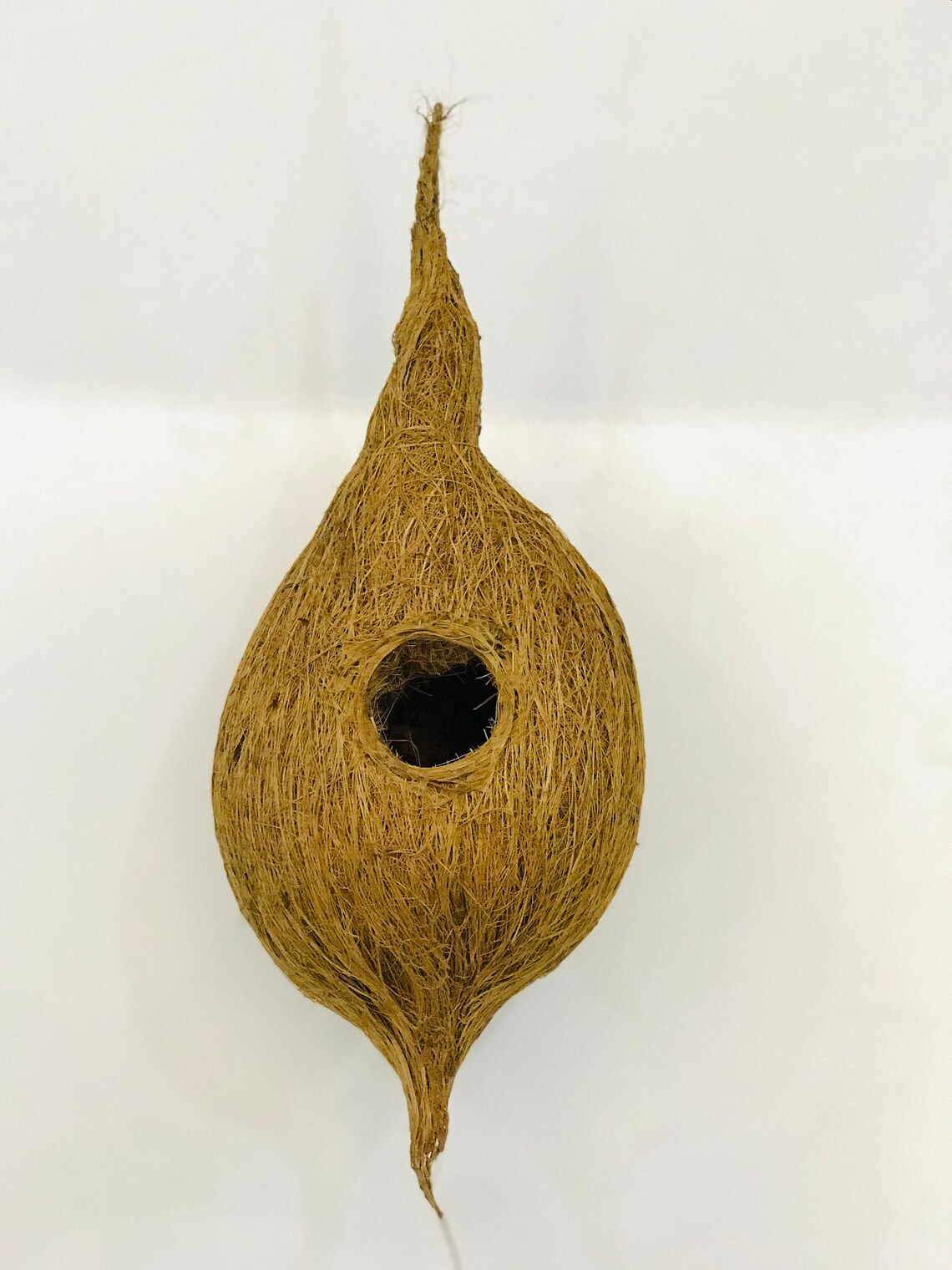 Bird Nest Made With Coconut Coir and Shell. Etsy
