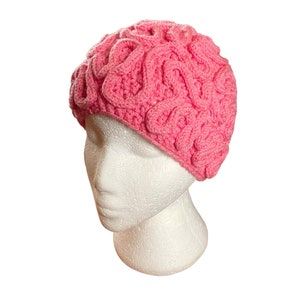 Brains Crochet Hat, Novelty Beanie, Brainy Student or Mad Scientist Costume Accessory