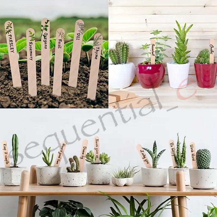 Wooden Lollipop Sticks Natural Lolly Sticks Popsicle Sticks For Arts Crafts School Projects Plant Label Home Decorations DIY114mm X 10mm X 2mm (150