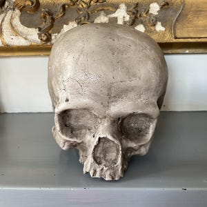 Może przedstawiać: Szczegółowa, szara rzeźba czaszki z widocznymi oczodołami, jamą nosową i zębami. Czaszka umieszczona jest na szarej powierzchni, z dekoracyjnym, złoconym obiektem w tle. Rzeźba ma wygląd zwietrzały.