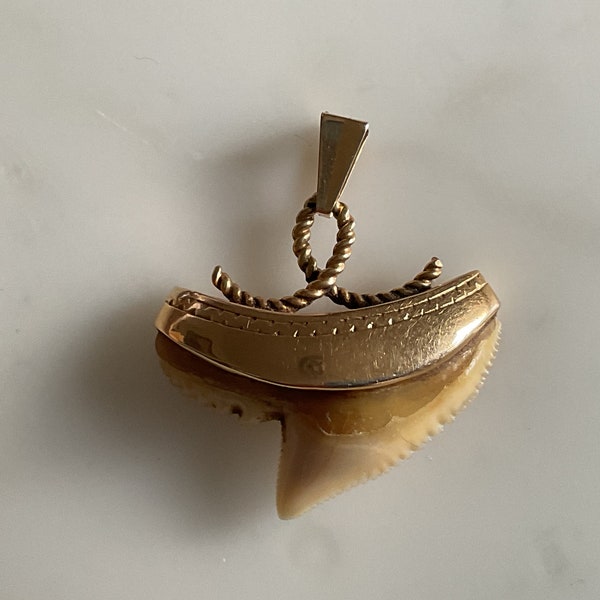 Un eccezionale ciondolo vittoriano con dente di squalo montato in oro 15 carati.