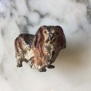 Charming early 20th century Austrian cold painted bronze.