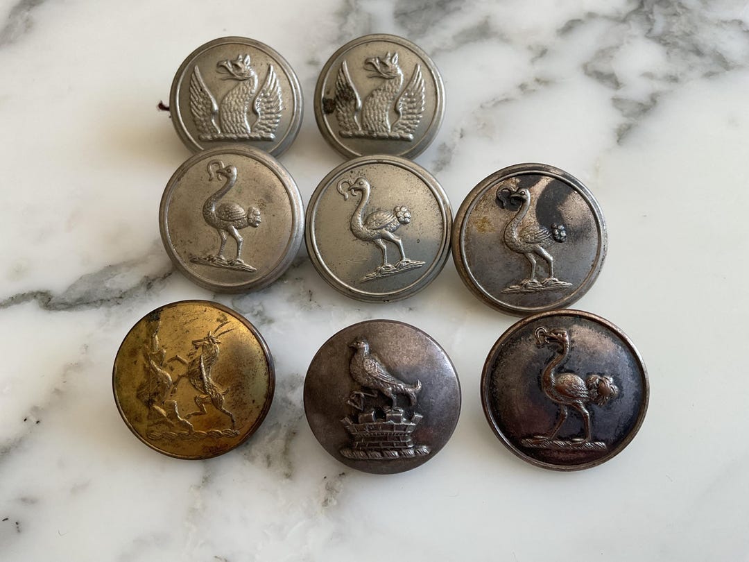 アンティークやビンテージの紋章入りボタンの非常にすばらしい