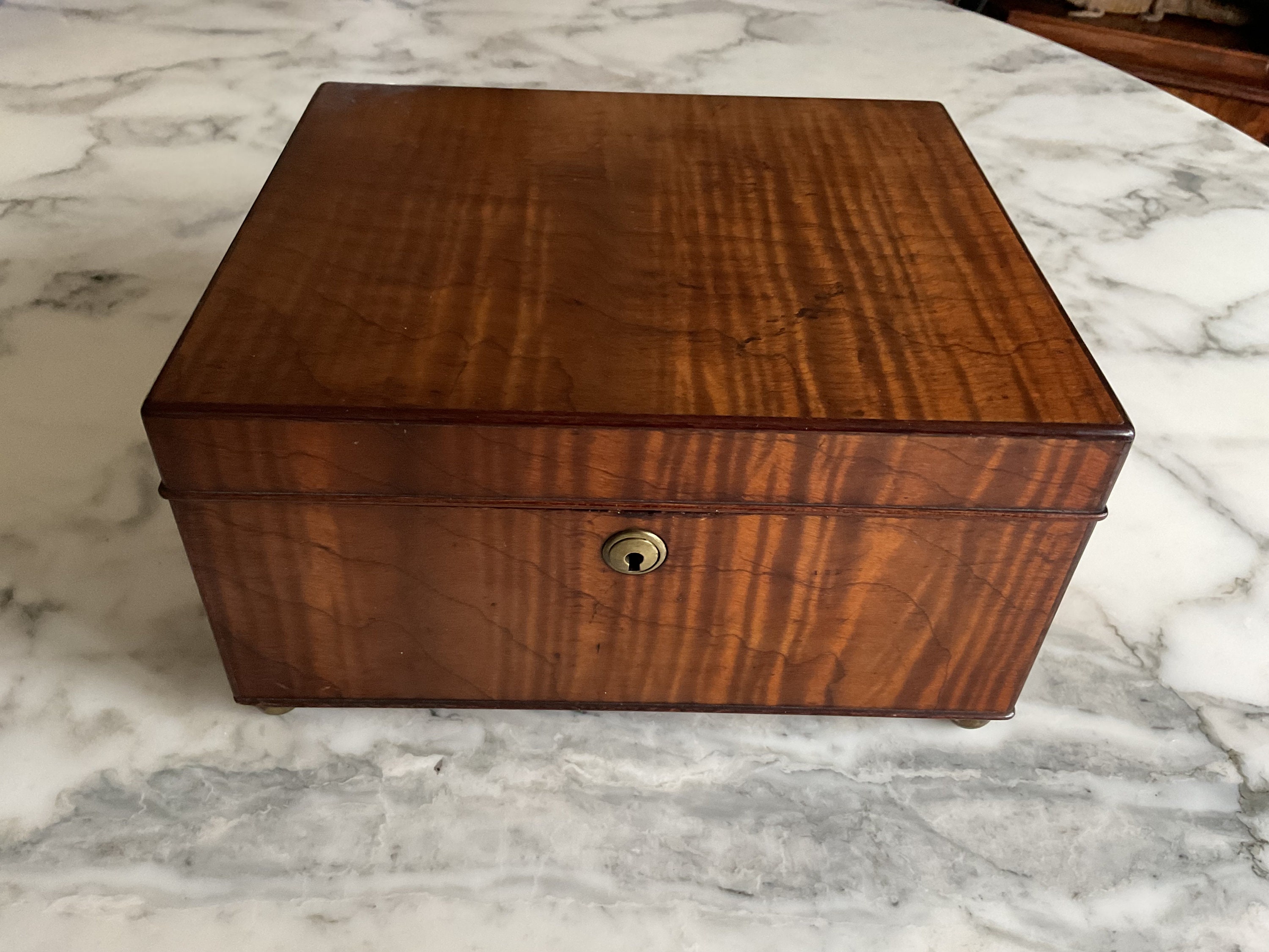 Elie bleu humidor - Etsy 日本