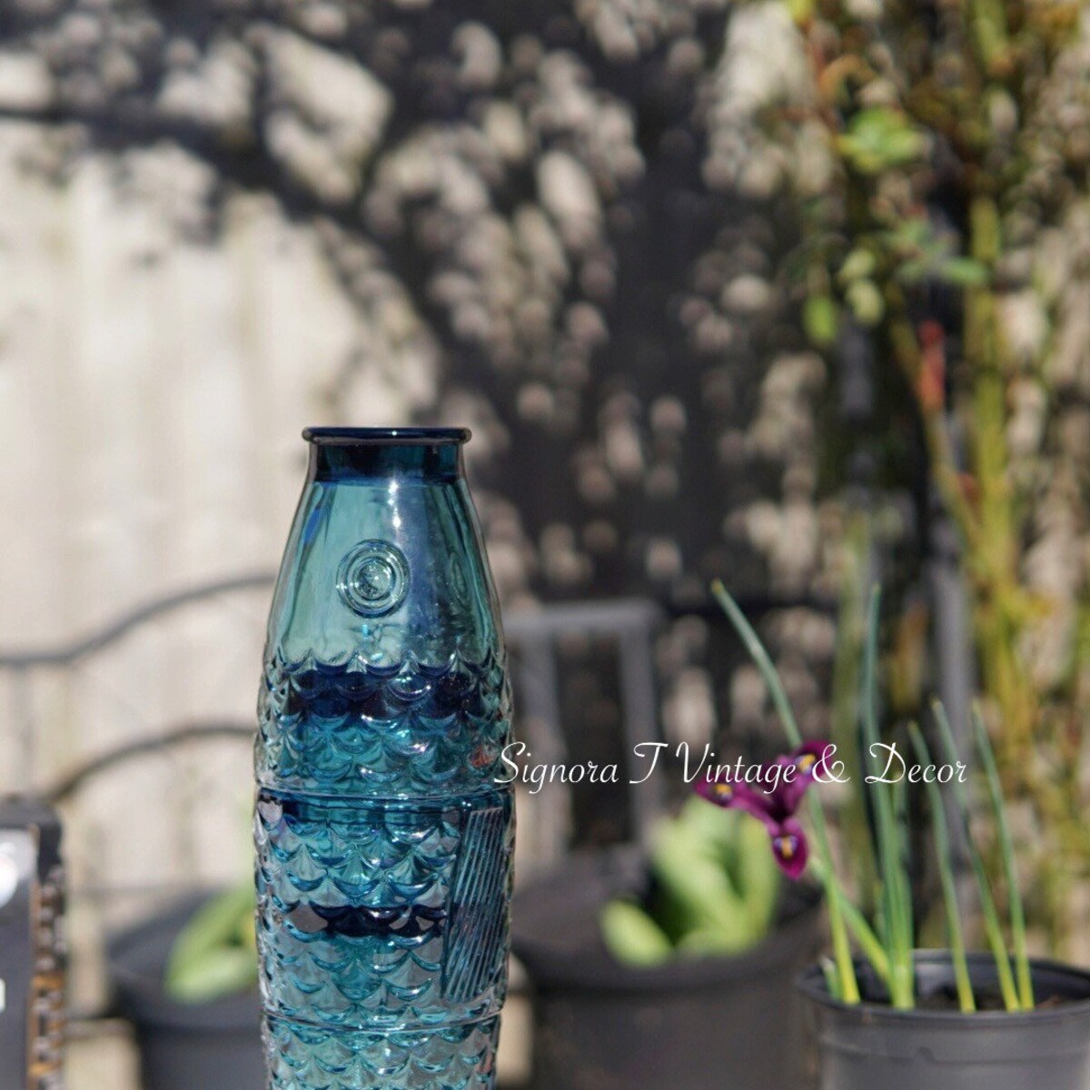 Replacement Glasses - Decor Teal Fish Glasses (3 Piecs) - Etsy