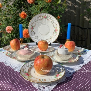 Victorian Hand painted Rose & Leaves 18cm Plates Set (x 6 pieces)
