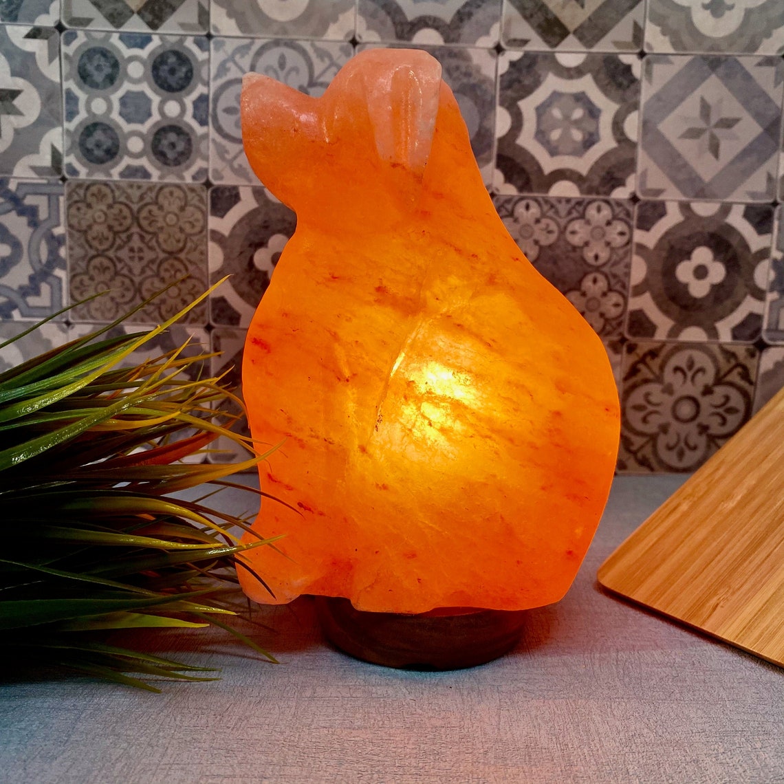 Dog Shape Himalayan Salt lamp Hand Crafted Salt Lamp Room Etsy