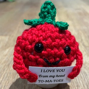 Handmade Emotional Support Tomato With Positive Affirmation Card, Cute  Crochet Vegetable, Funny Coworker Leaving Gift, Stuffed Kids Toy 