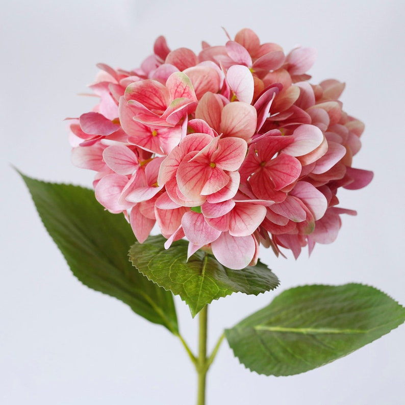 Silk Flower
