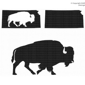 Könnte beinhalten: Schwarz-weiße Silhouette eines Bisons, ein häufiges Symbol des amerikanischen Mittleren Westens, das auf weißem Hintergrund steht. Der Bison blickt nach rechts.