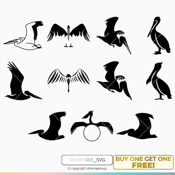 Pelican SVG Bundle, Pelican SVG, Pelican Clipart, Pelican Cricut, Pelican Cutting File, Pelican SVG for Cricut, Pelican Monogram Svg