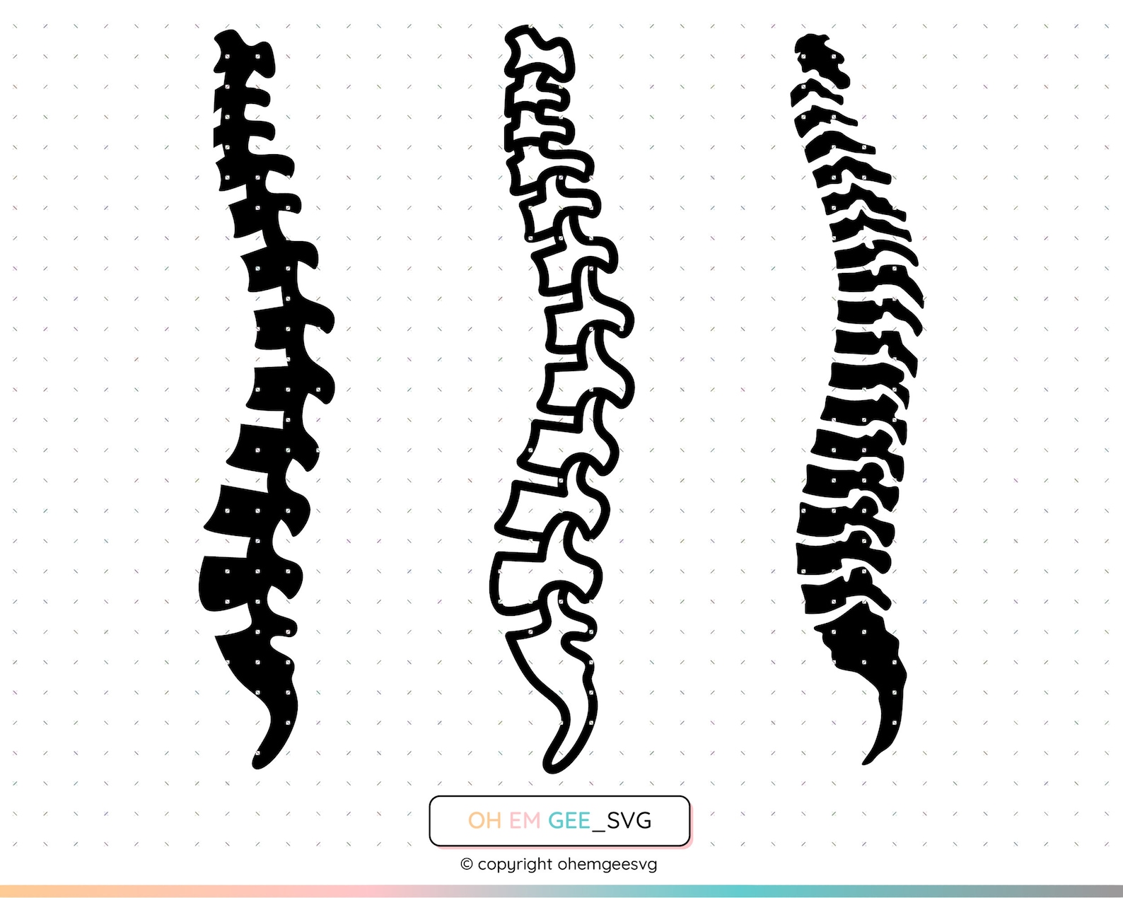 Spine Svg Spinal Cord Png Skeleton Clipart Bones Dxf - Etsy