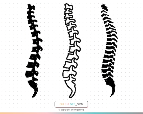 Spine Svg, Spinal Cord Png, Skeleton Clipart, Bones Dxf, Anatomy Eps,  Physiotherapy Cricut, Physical Therapy Cut File, PT Silhouette - Etsy