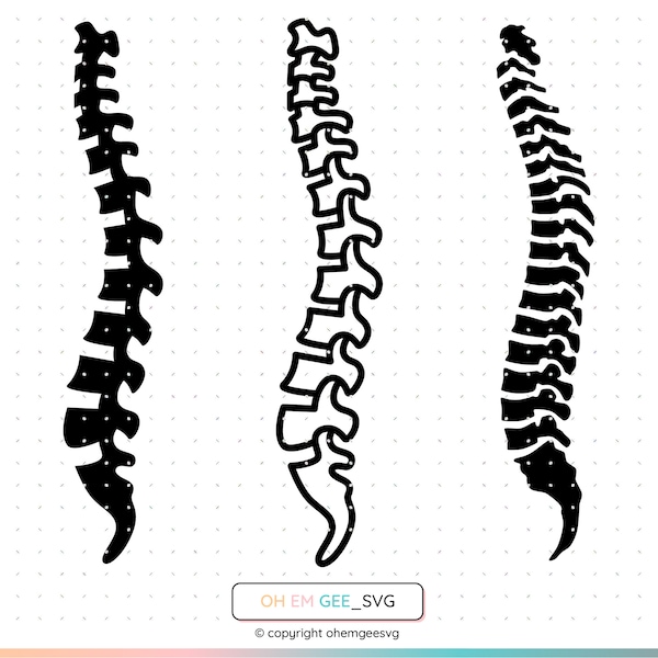 Spine Svg, Spinal Cord Png, Skeleton Clipart, Bones Dxf, Anatomy Eps, Physiotherapy Cricut, Physical Therapy Cut File, PT Silhouette