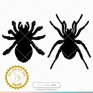 Tarantula Saved in Svg and Png Files, Tarantula Clipart, Spider Dxf, Tarantula Eps, Spider Cricut, Tarantula Cut file, Spider Silhouette