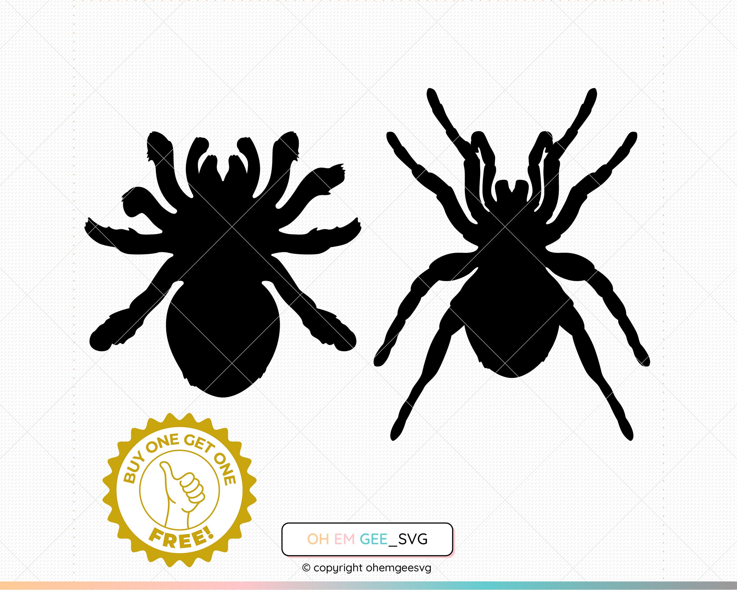 Tarantula Saved in Svg and Png Files, Tarantula Clipart, Spider Dxf, Tarantula Eps, Spider Cricut, Tarantula Cut file, Spider Silhouette