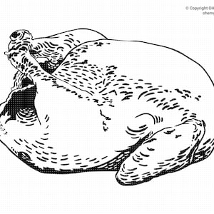 Frango assado salvo em arquivos SVG e PNG, clipart de frango assado, DXF assado, frango EPS, frango Cricut, arquivo de corte de frango assado