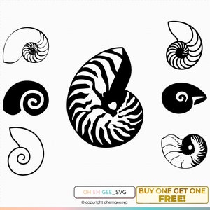 Nautilus Seashell Svg, Nautilus Png, Seashell Clipart, Nautilus Seashell Dxf, Seashell Eps, Seashell Cricut, Nautilus Seashell Cut File image 1