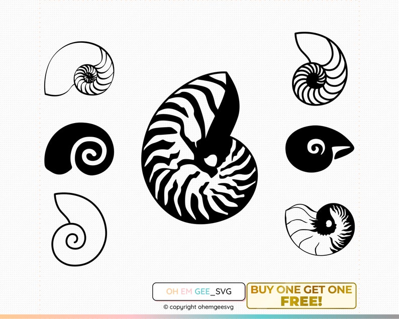 Nautilus Seashell Svg, Nautilus Png, Seashell Clipart, Nautilus Seashell Dxf, Seashell Eps, Seashell Cricut, Nautilus Seashell Cut File image 1