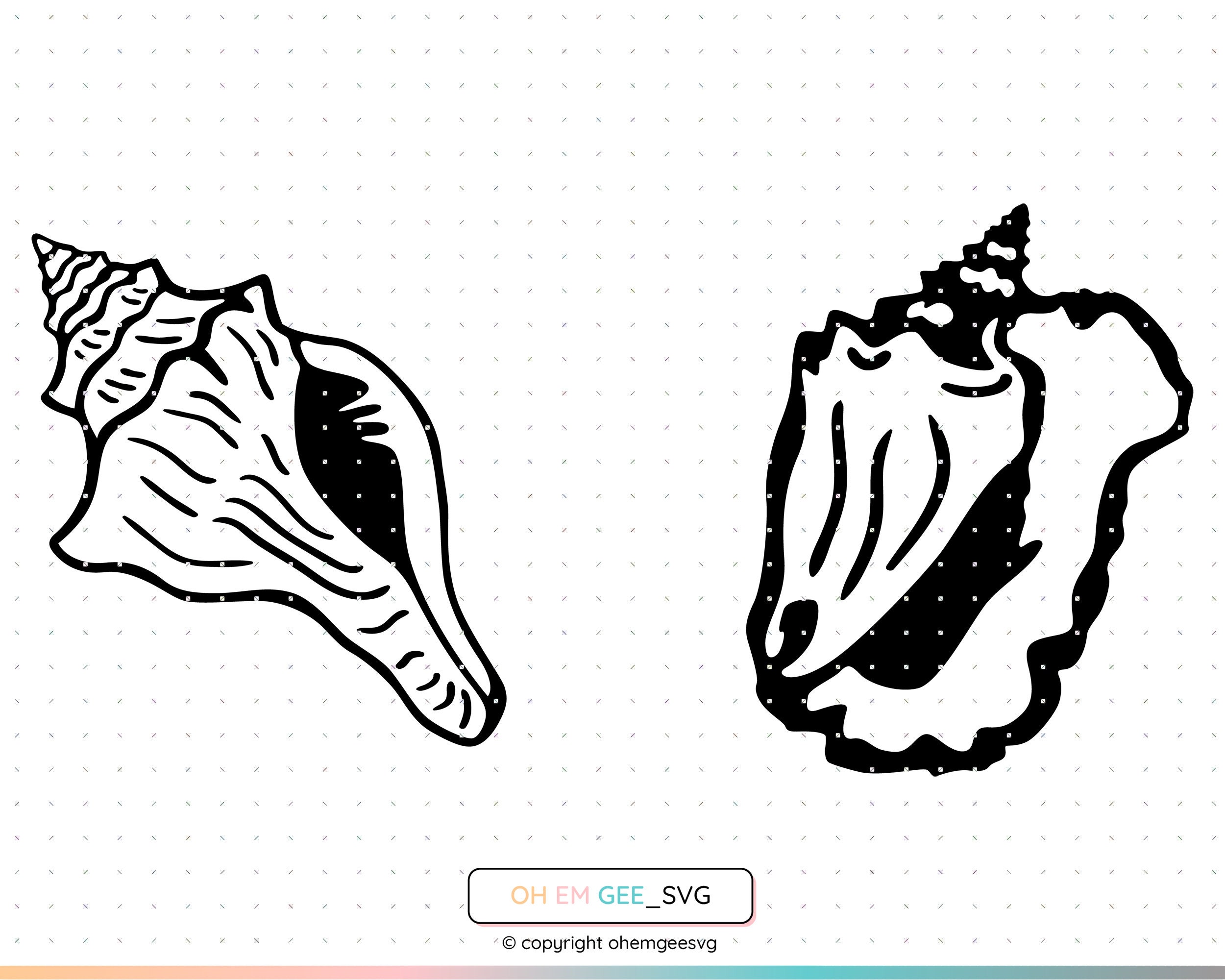 Conch Shell Svg Shell Png Sea Shell Clipart Conch Shell - Etsy New Zealand
